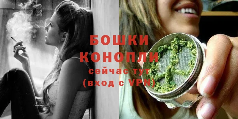 Конопля сатива  Кизел 